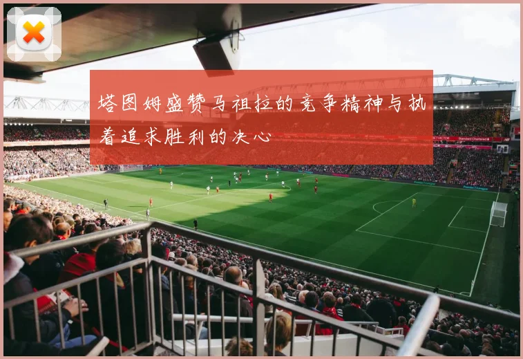 塔图姆盛赞马祖拉的竞争精神与执着追求胜利的决心