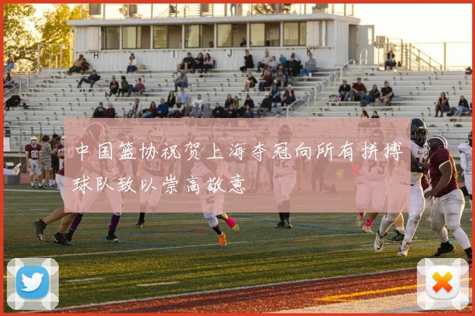 中国篮协祝贺上海夺冠向所有拼搏球队致以崇高敬意